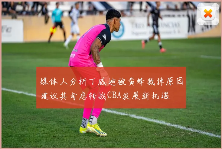 媒体人分析丁威迪被黄蜂裁掉原因建议其考虑转战CBA发展新机遇