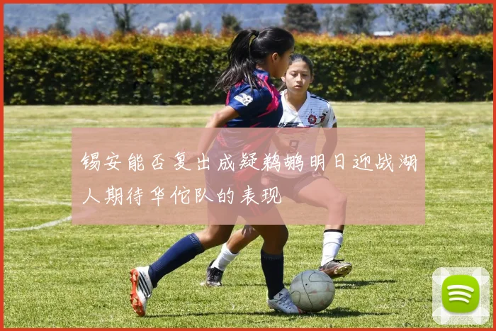 锡安能否复出成疑鹈鹕明日迎战湖人期待华佗队的表现