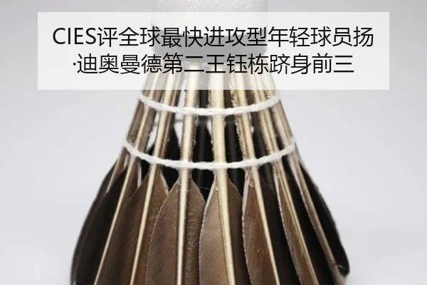 CIES评全球最快进攻型年轻球员扬·迪奥曼德第二王钰栋跻身前三